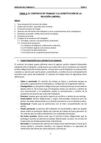 TEMA-2.pdf