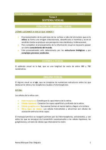 Tema-2-Sistema-visual.pdf