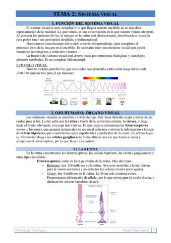 TEMA-2.pdf