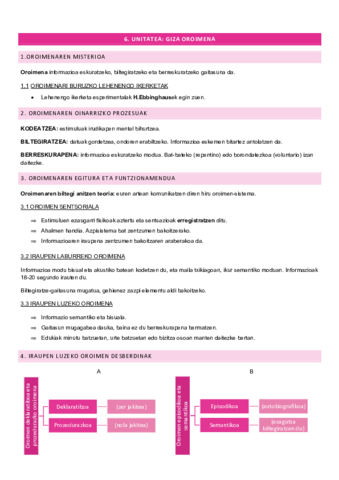 Oroimena-eta-Adimena.pdf