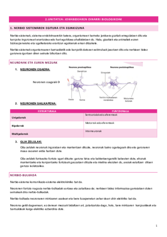 2.pdf