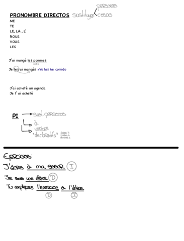 Frances-pronombres-.pdf