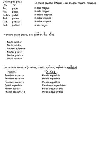 Verbos-y-declinaciones-latin2o-BACH.pdf