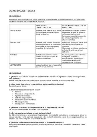 actividades-tema-2.pdf