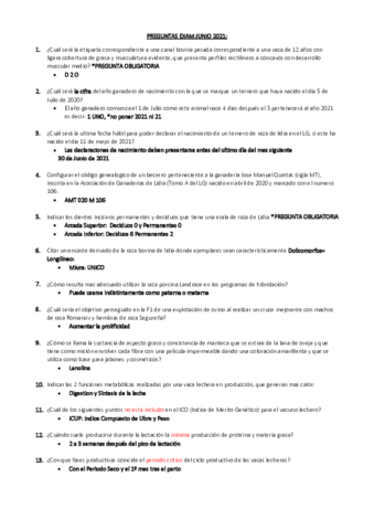 PREGUNTAS-EXAM-JUNIO.pdf