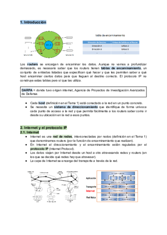 Tema-3-Protocolos-IP.pdf