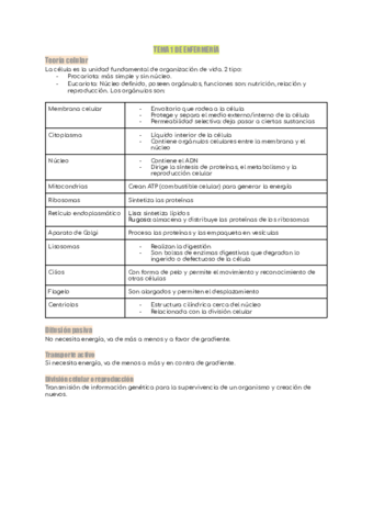 temas-de-enfermeria.pdf