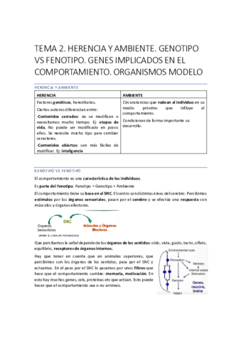 COMPORTAMIENTO-4-7.pdf