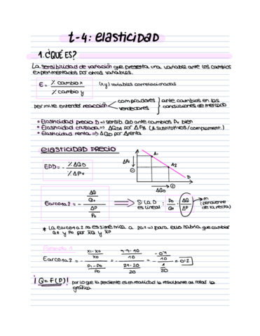 T-4-Elasticidad-.pdf