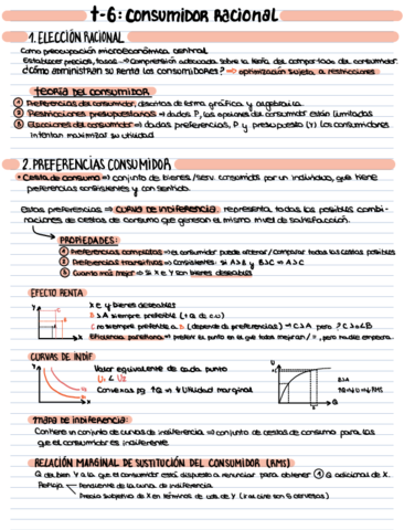 T-6-Consumidor-racional-.pdf