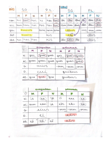 LATIN-APUNTES-SELE.pdf