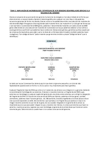 Tema-3-Ampli-micro.pdf