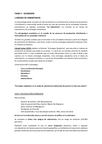 TEMA-5-ECONOMIA.pdf