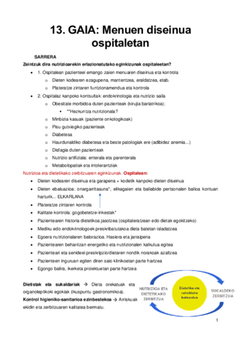 13.pdf