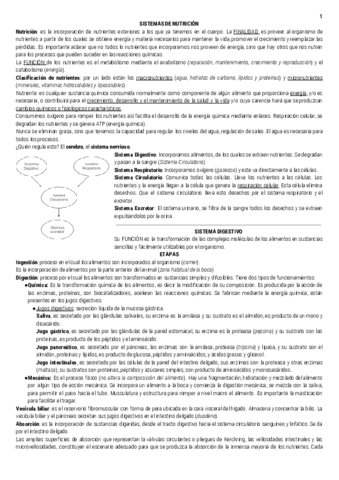 Resumen-Biologia-2do-Parcial.pdf