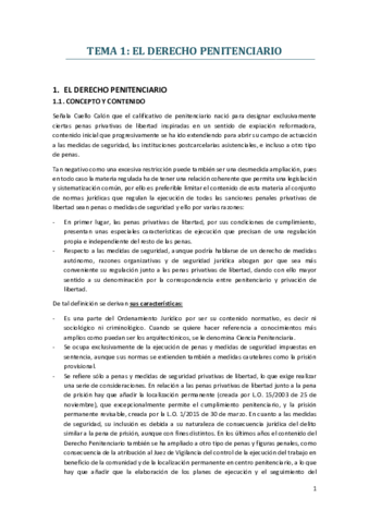 TEMA-1.pdf