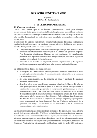 Resumen-Derecho-Penitenciario-segun-manual.pdf