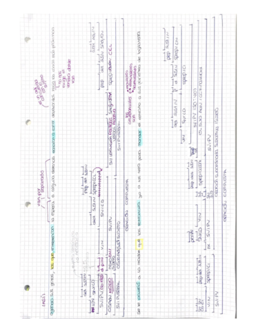 ORACIONES-SINTAXIS.pdf