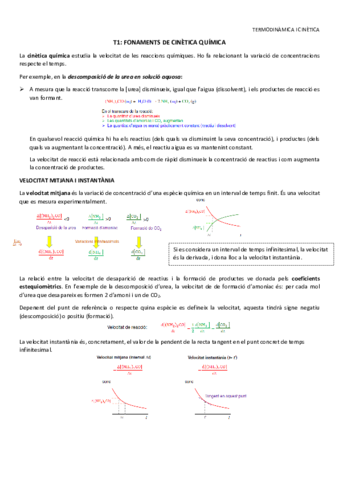 T1-Fonaments-de-cinetica-quimica.pdf