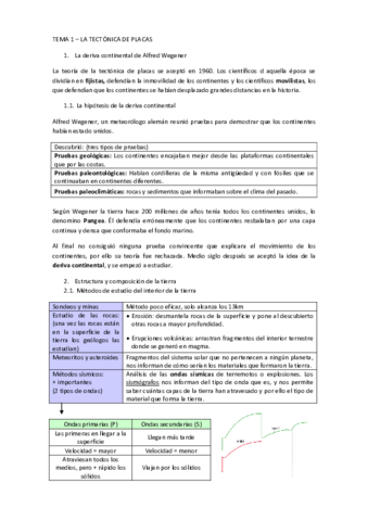 TEMA-1.pdf