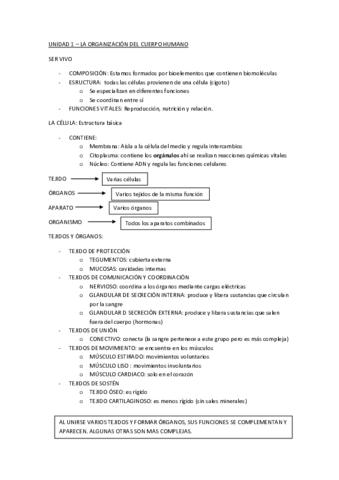 UNIDAD-1-byg.pdf