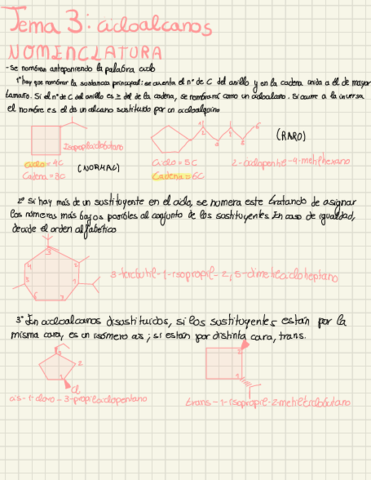 Apuntes-Limpio-Academia-2organized.pdf