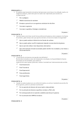 Cuestionario-10.pdf