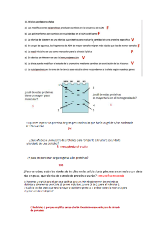 Ejemplo-preguntas.pdf