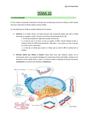 TEMA-10-El-nucleo-y-la-division-celular-mitosis-y-meiosis.pdf