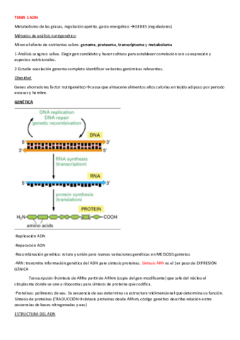 Resumennutrigenomica.pdf