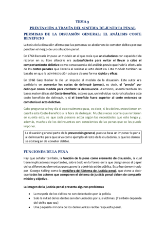 TEMA-3-PREVENCION-A-TRAVES-DEL-SISTEMA-DE-JUSTICIA-PENAL.pdf