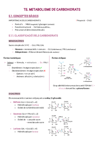 T5.pdf