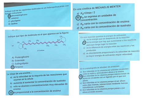 Preguntas-Test-1o-Parcial.pdf