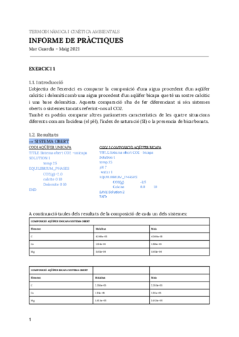 Informe-practiques-.pdf