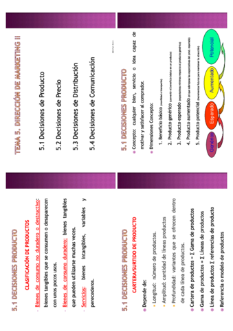 TEMA-5.pdf