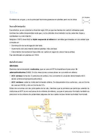 5-Etileno.pdf