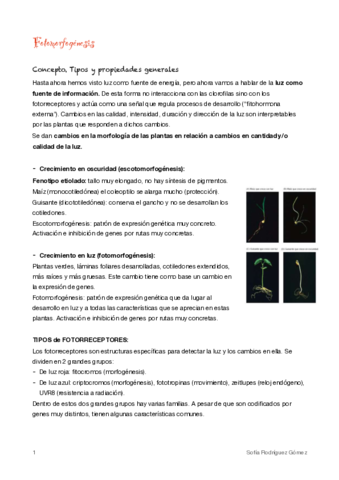 9-Fotomorfogenesis.pdf