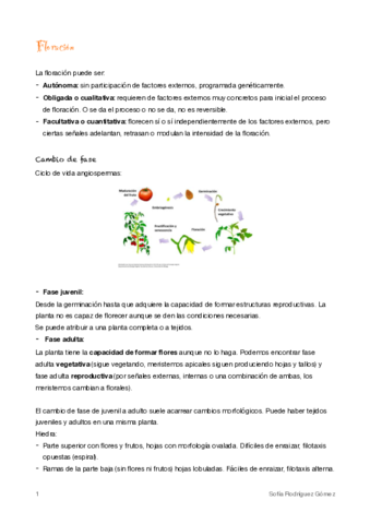11-Floracion.pdf