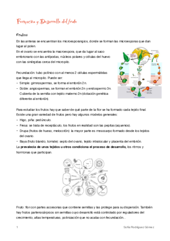 12-Formacion-y-desarrollo-del-fruto.pdf