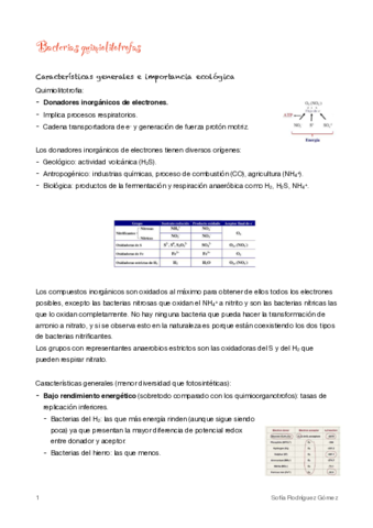 10-Bacterias-quimiolitotrofas.pdf