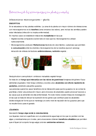 20-Microorganismo-plantas-y-animales.pdf