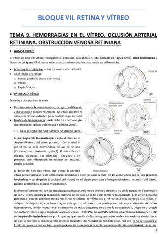 BLOQUE-VII-RETINA-Y-VITREO.pdf