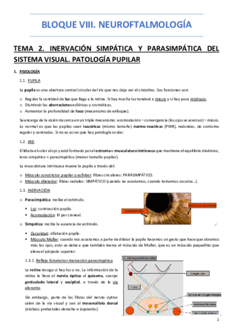 BLOQUE-VIII-NEUROFTALMOLOGIA.pdf