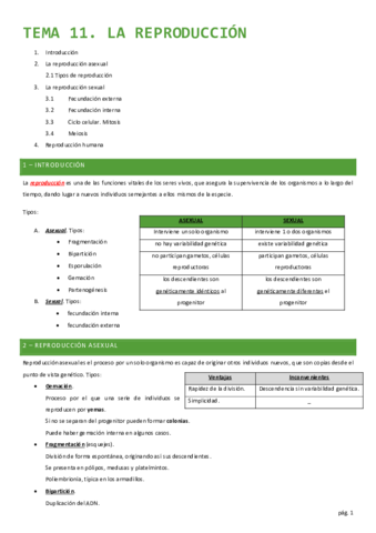 11-reproduccion.pdf