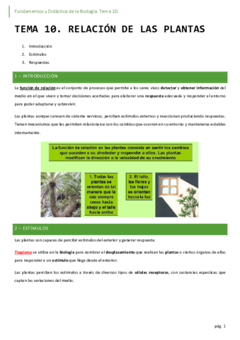 10-relacion-de-las-plantas.pdf