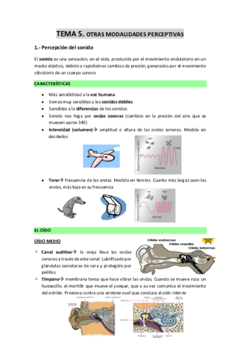 TEMA-5-Otras-modalidades-perceptivas.pdf