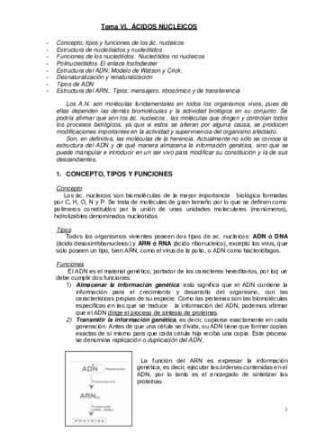 Tema-VI.pdf
