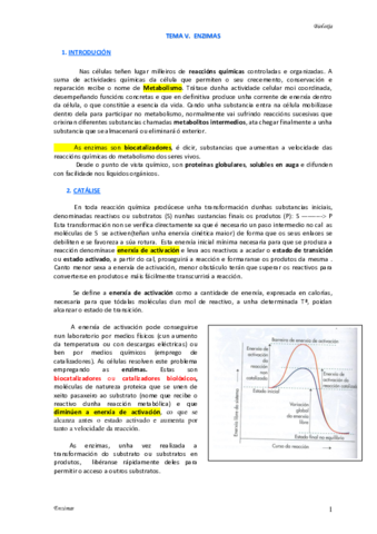 TEMA-V-ENZIMAS.pdf
