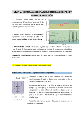 TEMA-2-membranas-excitables.pdf