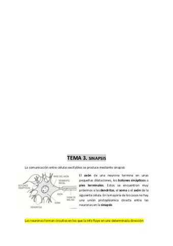 TEMA-3-sinapsis.pdf